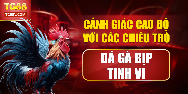 Cảnh Giác Cao Độ Với Các Chiêu Trò Đá Gà Bịp Tinh Vi
