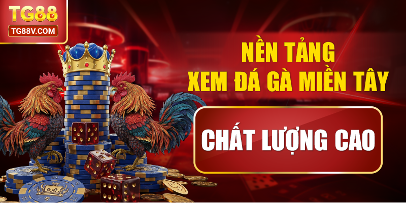 Nền Tảng Xem Đá Gà Miền Tây Chất Lượng Cao